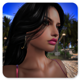 Model in SL