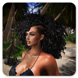 Model in SL
